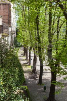 travel to Italy - path and green trees in urban garden (giardini di piazza lega lombarda) on square Lega Lombarda in Mantua city in spring