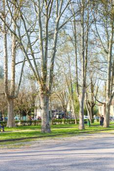 travel to Italy - trees in urban public garden Parco del Palazzo del Te in Mantua city in spring