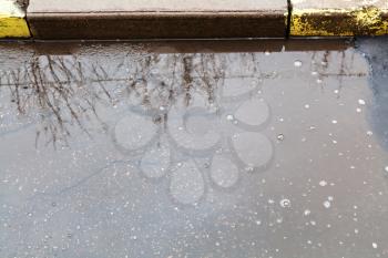 surface of puddle with reflection of trees on urban street in rainy day