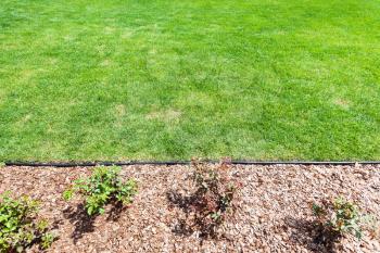 manicured lawn on backyard of country house in spring