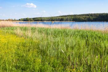 green meadow on riverbank of Bobritsa river in spring, Ukraine