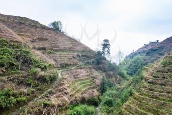 travel to China - terraced slope of hills near Dazhai village in area of Longsheng Rice Terraces (Dragon's Backbone terrace, Longji Rice Terraces) in spring season