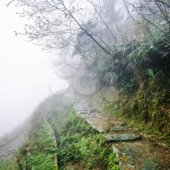 travel to China - wet footpath on hill slope in rainy misty spring day in area of Dazhai Longsheng Rice Terraces (Dragon's Backbone terrace, Longji Rice Terraces)
