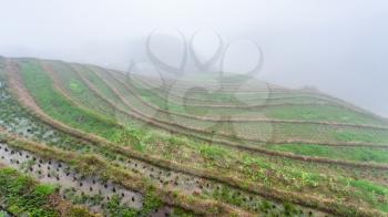travel to China - fog over rice terraced fieilds from viewpoint Music from Paradise in area of Dazhai Longsheng Rice Terraces (Dragon's Backbone terrace, Longji Rice Terraces) country in spring