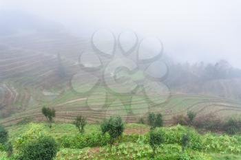 travel to China - view of rice terraced fields in fog from viewpoint Music from Paradise in area of Dazhai Longsheng Rice Terraces (Dragon's Backbone terrace, Longji Rice Terraces) country in spring