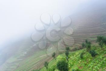 travel to China - view of rice terraced fields in mist from viewpoint Music from Paradise in area of Dazhai Longsheng Rice Terraces (Dragon's Backbone terrace, Longji Rice Terraces) country in spring
