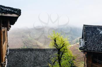 travel to China - cottages in Tiantouzhai village and terraced hills in area Dazhai Longsheng Rice Terraces (Dragon's Backbone terrace, Longji Rice Terraces) country in spring