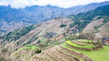 travel to China - view of terraced fields in Dazhai country from viewpoint Seven Stars Chase The Moon in area Longsheng Rice Terraces (Longji Rice Terraces) in spring