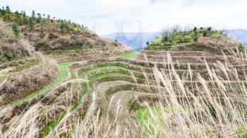 travel to China - view of rice field on terraced hill in Dazhai country from viewpoint Seven Stars Chase The Moon in area Longsheng Rice Terraces (Longji Rice Terraces) in spring
