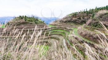 travel to China - view of rice garden on terraced hill in Dazhai country from viewpoint Seven Stars Chase The Moon in area Longsheng Rice Terraces (Longji Rice Terraces) in spring
