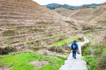 travel to China - tourist on path between terraced fields in Dazhai village in country of Longsheng Rice Terraces (Dragon's Backbone terrace, Longji Rice Terraces) in spring