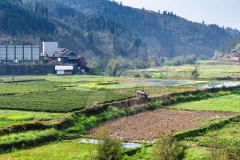 travel to China - wet rice fields and tea plantation in Chengyang village of Sanjiang Dong Autonomous County in spring evening