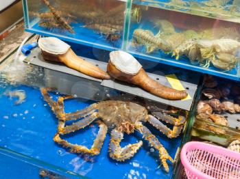 Travel to China - geoduck, crab, langoustine on Huangsha Aquatic Product Trading Market in Guangzhou city in spring season