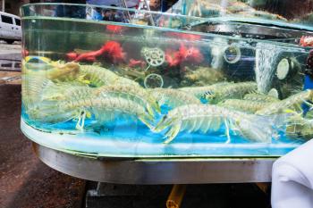 Travel to China - large langoustines on Huangsha Aquatic Product Trading Market in Guangzhou city in spring season