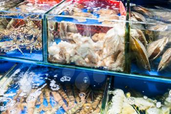 Travel to China - octopus, calms, prawns on Huangsha Aquatic Product Trading Market in Guangzhou city in spring season