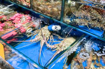 Travel to China - crabs and spiny lobsters in Huangsha Aquatic Product Trading Market in Guangzhou city in spring season