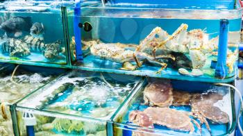 Travel to China - various crabs on Huangsha Aquatic Product Trading Market in Guangzhou city in spring season