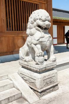 GUANGZHOU, CHINA - APRIL 1, 2017: lion statue near entrance to Guangxiao Temple (Bright Obedience, Bright Filial Piety Temple). This is is one of the oldest Buddhist temples in Guangzhou city