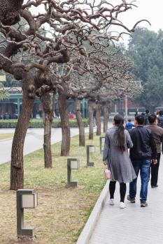 BEIJING, CHINA - MARCH 19, 2017: people on alley in Working People's Cultural Palace (Imperial Ancestral Hall) public park in Imperial city in spring. This park is part of Forbidden City green area