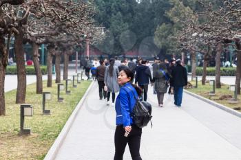 BEIJING, CHINA - MARCH 19, 2017: tourists on alley in Working People's Cultural Palace (Imperial Ancestral Hall) public park in Imperial city in spring. This park is part of Forbidden City green area
