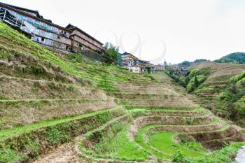 travel to China - view of terraced grounds in Dazhai village in country of Longsheng Rice Terraces (Dragon's Backbone terrace, Longji Rice Terraces) in spring
