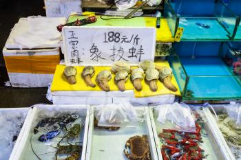 GUANGZHOU, CHINA - MARCH 31, 2107: geoduck and crabs on Huangsha Aquatic Product Trading Market in Guangzhou city in spring season. This is the largest fresh water fish market in Southern China