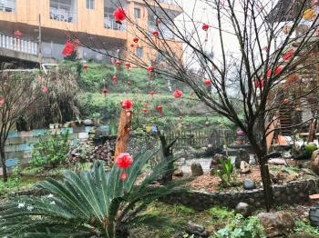 TIANTOUZHAI, CHINA - MARCH 24, 2017: red lanterns on tree on square in Tiantou village in Dazhai country of Longsheng Rice Terraces (Longji Rice Terraces) in spring rainy day