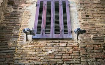 travel to Italy - pigeons near closed window of medieval house in Siena city in winter