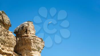 Travel to Algarve Portugal - eroded sandstone rock and gull in blue sky on beach Praia Maria Luisa near Albufeira city in sunny day