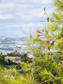 travel to Greece - green twig on foreground and unfocused view of Temple of Hephaestus in Agora on top of the Agoraios Kolonos hill from Areopagus hill in Athens city