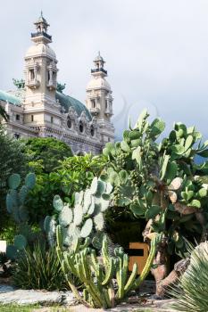 MONTE CARLO, MONACO - JULY 6, 2008: cactuses in st martin gardens and view of Casino de Monte-Carlo in Monaco. Principality of Monaco is sovereign city-state and country located on the French Riviera