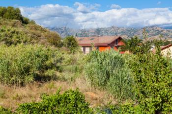 travel to Sicily, Italy - cottage in overgrown garden in Giardini Naxos town in summer