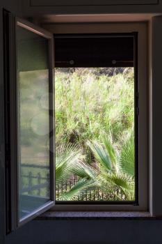 view of green backyard from open home window in sunny summer day in Giardini Naxos town, Sicily, Italy