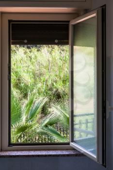 view of green garden from open home window in sunny summer day in Giardini Naxos town, Sicily, Italy