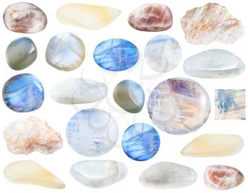 collection of various moonstone gemstones (moonstone, adular, albite, belomorite ) isolated on white background