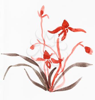 training drawing in suibokuga style with watercolor paints - sketch of orchid flower on white paper