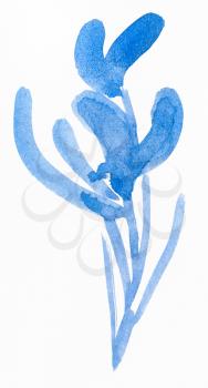 training drawing in suibokuga style with watercolor paints - blue sketch of orchid flower on white paper