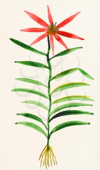 training drawing in suibokuga style with watercolor paints - specimen of flower on ivory colored paper