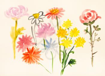 training drawing in suibokuga style with watercolor paints - various fresh flowers on ivory colored paper