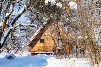 wooden cottage in snow-covered garden in sunny winter day in Smolensk region of Russia