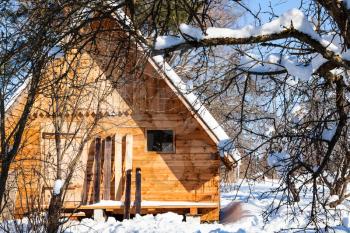 view of little wooden cottage and wide skis in sunny winter day in Smolensk region of Russia