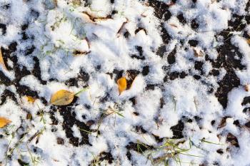 top view of fallen leaves and the first snow on ground in cold autumn day