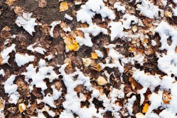 yellow fallen leaves and the first snow on ground of urban park in cold autumn day