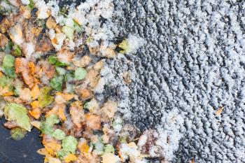 the first snow of frozen puddle with fallen leaves in cold autumn day