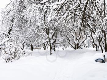 path in snow-covered public urban garden in Moscow city in winter snowfall