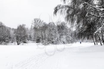 view of snow-covered urban Timiryazevskiy park in Moscow city in winter