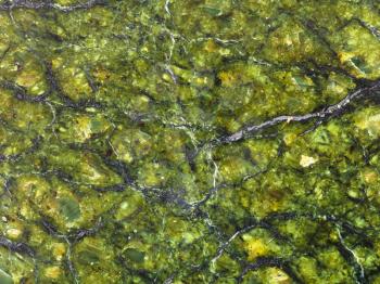 background from polished serpentinite natural stone close up