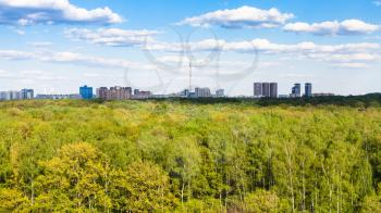 panoramic view of green forest of Timiryazevsky park in Moscow city in sunny summer day