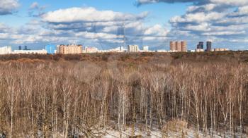 panoramic view of bare birch trees and last melting snow in Timiryazevskiy park and skyline of Moscow city in sunny spring day