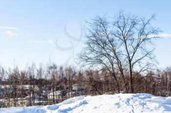winter landscape in Suzdal town in sunny day in Vladimir oblast of Russia